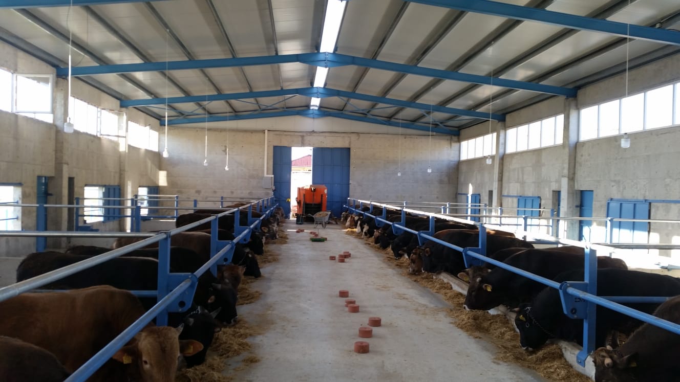 Besi Hayvancılığı