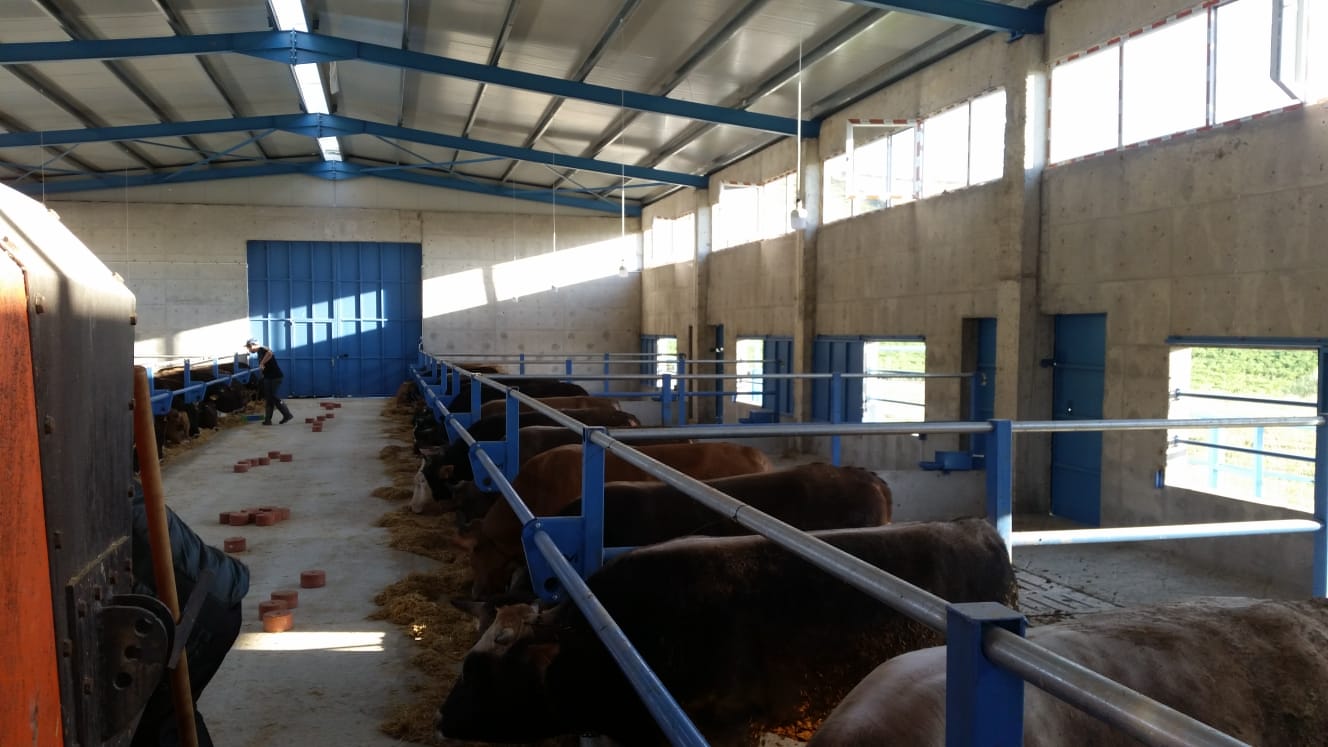 Çiftliğimizden KARELER